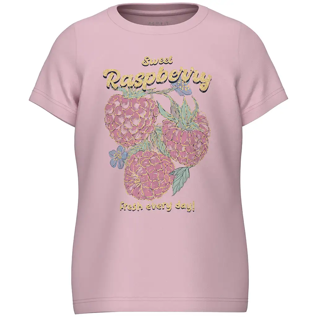 nameit-collectie Name It-collectie T-shirt Dias (parfait pink)