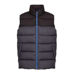 Regatta Heren Vintage Colour Block Gilet (Afdichting Grijs/Zwart)