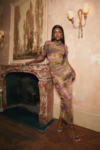 Boohoo Geplooide Mesh Bloemen Maxi Rok, Olive