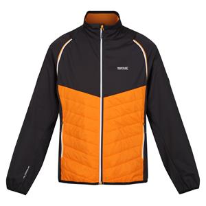 Regatta Heren steren hybride zachte shell jas
