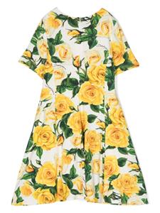 dolce&gabbanakids Dolce & Gabbana Kids Jurk met rozenprint - Wit
