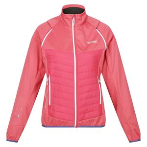 Regatta Dames/Dames Steren Hybride Jas (Fruitduif)