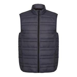 Regatta Herenbrand Down Gewatteerde Bodywarmer (Afdichting Grijs/Zwart)