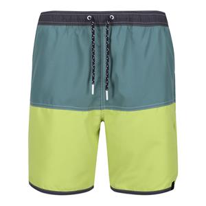 Regatta Heren Benicio Zwemshorts (Zeeden/Groene algen)
