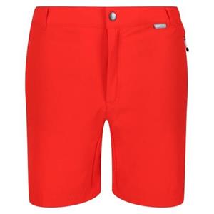Regatta Mountain II-short voor heren 40R