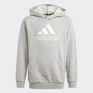 adidas Sportswear Kapuzensweatshirt U BL 2 HOODIE