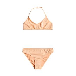 Roxy Bikini