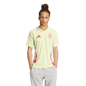 Overige Spanje Shirt Uit Senior 2024-2026 - 