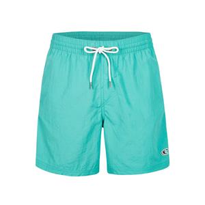 O'neill Vert 16 Swimshorts