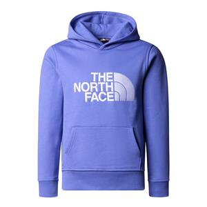 The north face Hoodie Drew Peak in molton