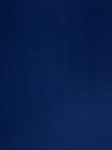 maxmara Max Mara Sjaal met afwerking - Blauw