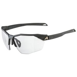 Alpina Sports Sonnenbrille TWIST SIX HR V BLACK MATT