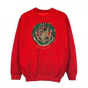 Harry Potter jongens krans kerstsweater 9-11 Years rood