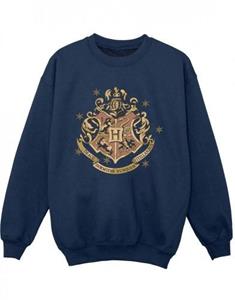 Harry Potter jongens gouden Zweinstein Crest Sweatshirt 12-13 zwart