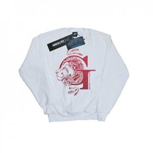 Harry Potter meisjes Griffoendor glittersweatshirt 12-13 wit