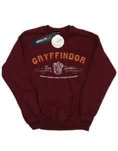 Harry Potter Heren Griffoendor Team Zwerkbal Sweatshirt L bordeaux