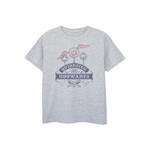Harry Potter Girls Quidditch At Hogwarts T-Shirt 12-13 grijs
