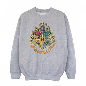 Harry Potter jongens Zweinstein Crest Sweatshirt 5-6 Years grijs