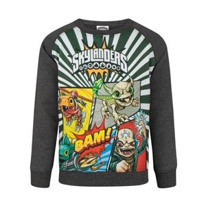 Pertemba FR - Apparel Skylanders paneel-sweatshirt voor jongens 3-4 Years grijs