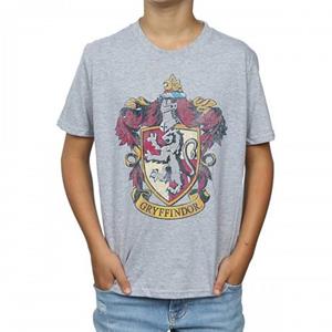 Harry Potter Boys Gryffindor T-Shirt 12-13 grijs