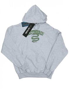 Harry Potter jongens Zwadderich Sport embleem hoodie 12-13 grijs