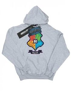 Harry Potter jongens Zweinstein Junior Crest Hoodie 12-13 grijs