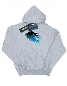 Harry Potter jongens Dementor silhouet hoodie 12-13 grijs