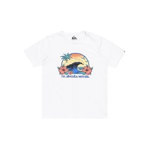 Quiksilver T-shirt met korte mouwen