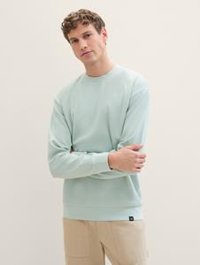 TOM TAILOR Denim Chinoshorts Regular Shorts