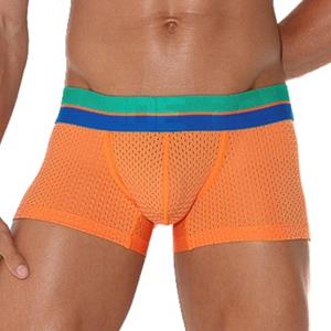 Code 22 Bright Mesh Trunk