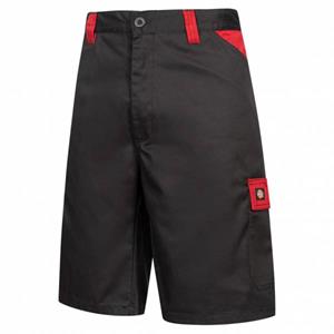 Dickies Cargoshorts Everyday 24/7