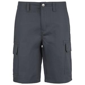 Dickies  Millerville Short - Short, blauw