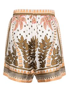 AMIRI Shorts met palmboomprint - Bruin
