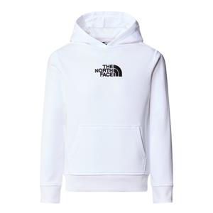 The north face Hoodie in molton
