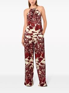 Nicholas Flared broek - Rood