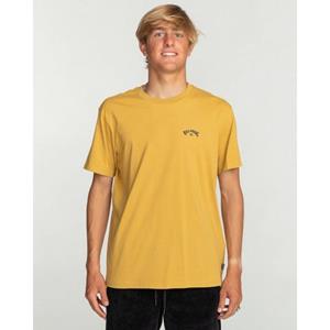 Billabong T-shirt ARCH WAVE