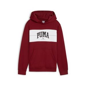 PUMA Hoodie SQUAD HOODIE FL B