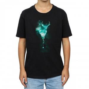 Harry Potter jongens Patronus Stag katoenen T-shirt 12-13 zwart