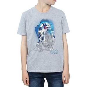 Pertemba FR - Apparel Star Wars: Het laatste Jedi Boys R2-D2 geborsteld T-shirt 12-13 grijs
