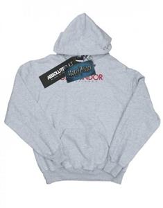 Harry Potter meisjes Griffoendor tekst hoodie 12-13 grijs