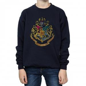 Harry Potter jongens Zweinstein huizen katoenen sweatshirt 12-13 marineblauwe kleur