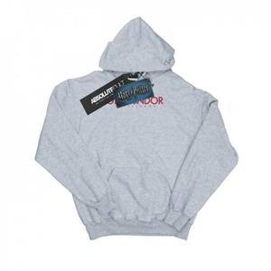 Harry Potter jongens Griffoendor tekst hoodie 12-13 grijs