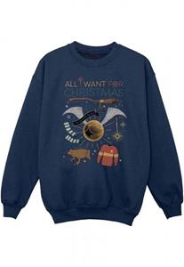 Harry Potter jongens alles wat ik wil voor kerstsweater 12-13 zwart