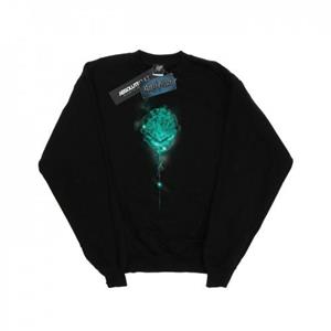 Harry Potter jongens Zweinstein Crest Mist Sweatshirt 12-13 zwart