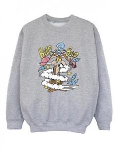 Looney Tunes Coyote Daze-sweatshirt voor jongens 9-11 Years wit