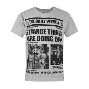 Pertemba FR - Apparel Strange Hill High officieel jongens fotografisch T-shirt 11-12 grijs