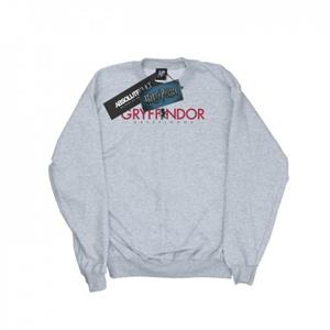 Harry Potter jongens Gryffindor tekst Sweatshirt 12-13 zwart