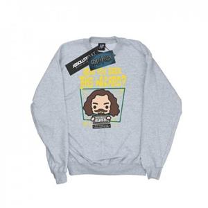 Harry Potter jongens Sirius zwart Azkaban junior sweatshirt 12-13 zwart