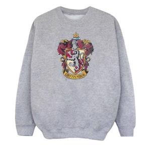 Harry Potter meisjes Griffoendor Sweatshirt 12-13 grijs