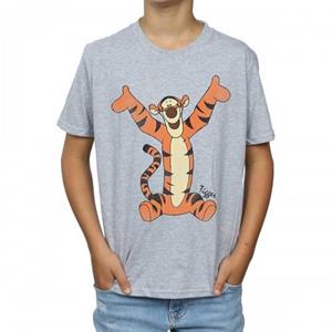 Winnie the pooh Winnie de Poeh jongens Teigetje T-shirt 12-13 grijs